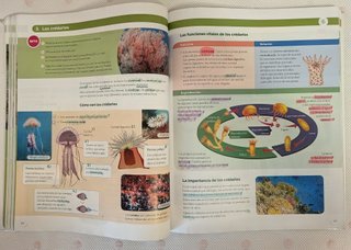 BIOLOGIA Y GEOLOGIA ARAGON 1 ESO CONSTRUYENDO M...