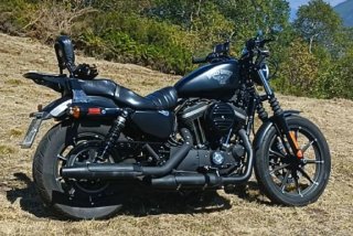 Harley Davidson 883 Iron Negra
