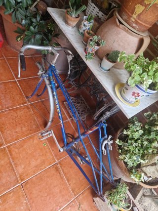 Cuadro Bicicleta Torrot Clásica Azul