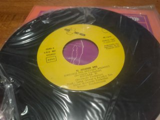 Vinilo Aviadorrr Nuclear Si