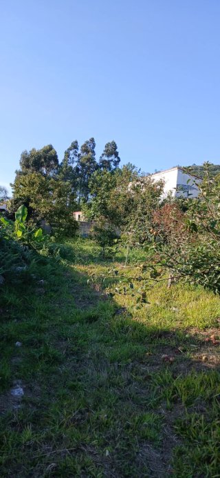 Terreno para construção com 730 m2