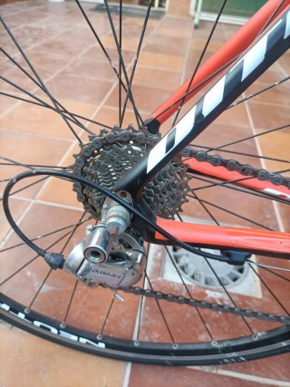Bicicleta Carretera Carbono Ditec 890 Shimano