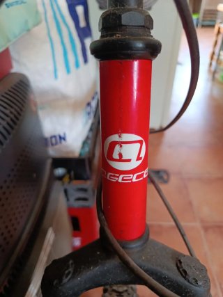 Bicicleta de Montaña Agece Roja
