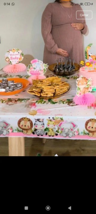 Decoración baby shower niña safari y complementos