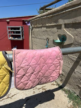 Sudadera para caballo rosa