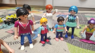 Lote Playmobil: Casas, Castillo y Avión