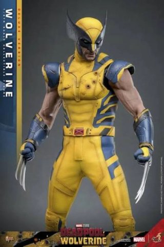 Figura Hot Toys Wolverine Deluxe