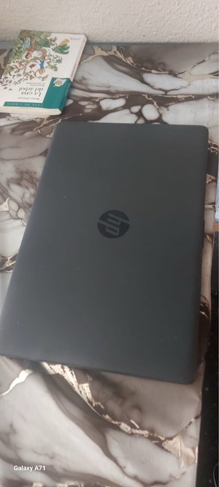 Portátil HP 250 G7 Notebook  Gris