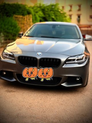 BMW Serie 5 2013