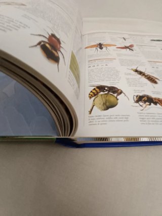 La grande enciclopedia degli animali volume 1