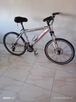 Bicicleta plegable blanca