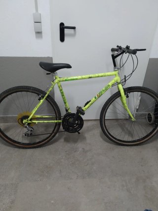 Bicicleta de Montaña