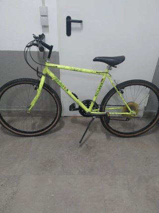 Bicicleta de Montaña