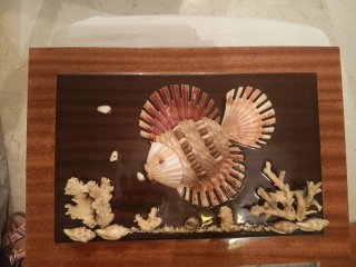 Cuadro decorativo de conchas marinas
