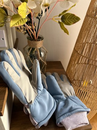 Guantes de Nieve Mujer Azul y Rosa