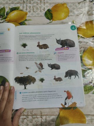 CONEIXEMENT DEL MEDI 3 PRIMARIA CONSTRUINT MONS