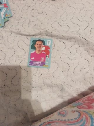 Carta Mundial Futbol
