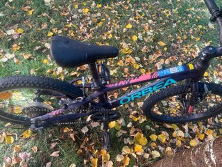 Bicicleta Orbea MX20 7 velocidades