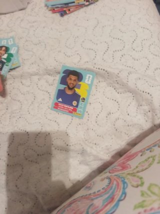 Carta Christian Pulisic USA Panini