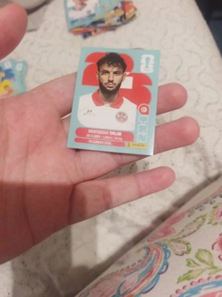 Carta Christian Pulisic USA Panini