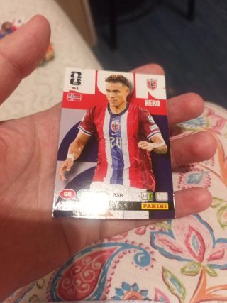 Carta Alisson Panini Top Keeper
