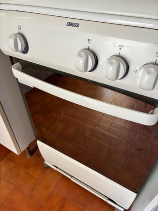 Horno Zanussi + cocina de gas