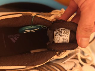 Adidas Bad Bunny Pasofino