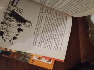 Cuatro libros juveniles