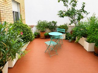 Terraza con limonero y plantas