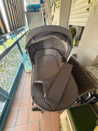 Carrito Inglesina Silla Paseo y Capazo