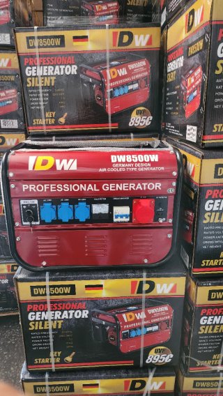 Generador Eléctrico DW8500W 8500W