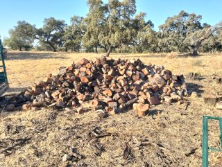 Leña de encina para chimenea