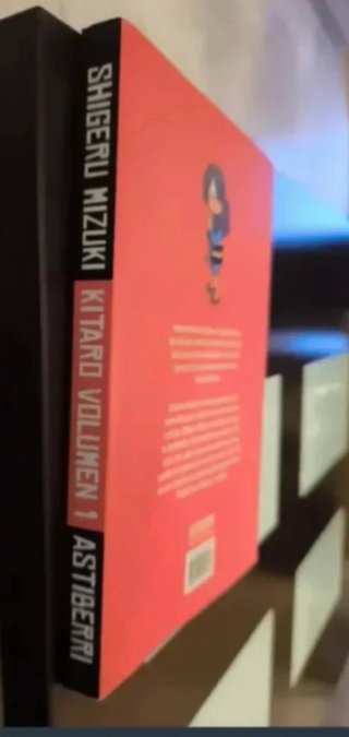 LOTE DE 2 LIBROS MANGA