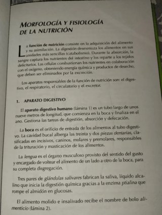 Alimentación Saludable - Nutrición