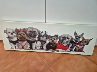 Cuadro Lienzo Perros decoración tienda animales