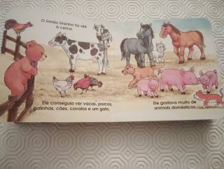 Livros infantis Cartonados Usados