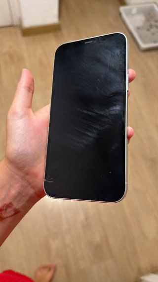 iPhone 12 Pro Max 256GB Plata