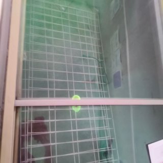 Frigorífico expositor
