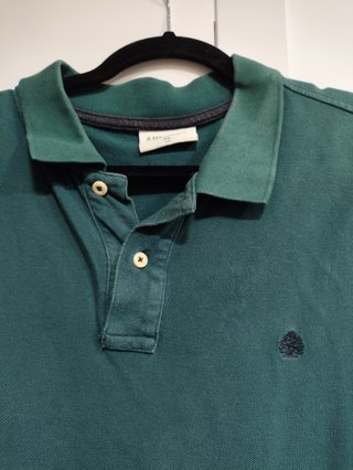 Polo Springfield Verde
