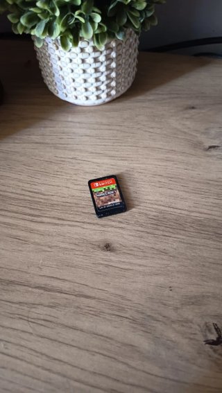 Nintendo Switch + Minecraft