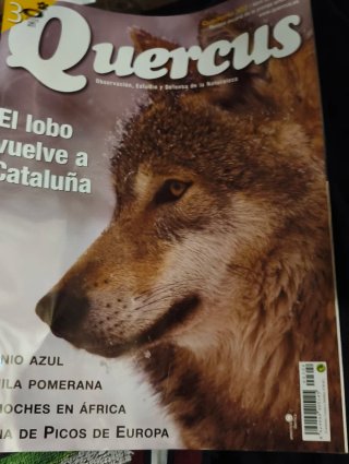 Colección completa de la revista Quercus