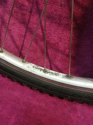 Ruote Campagnolo Aconcagua mozzi C. Olympus