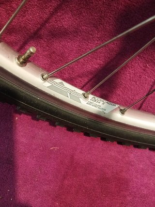 Ruote Campagnolo Aconcagua mozzi C. Olympus