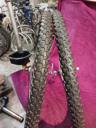 Ruote Campagnolo Aconcagua mozzi C. Olympus
