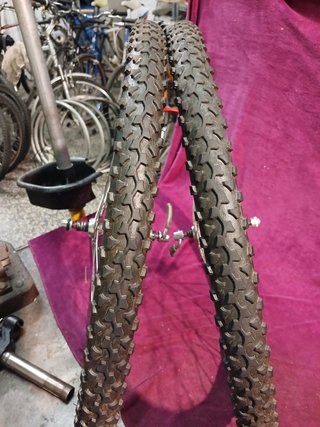 Ruote Campagnolo Aconcagua mozzi C. Olympus