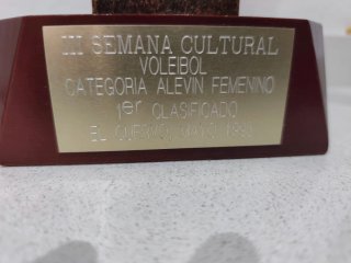 Trofeo deportivo figura jugador voleibol