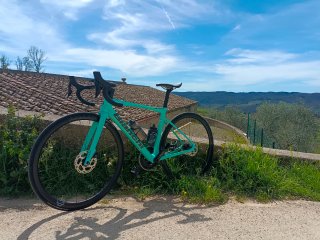 Bicicleta specialissima Comp full carbon 2024