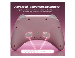 Controller Mytrix Rosa per Nintendo Switch/Lite