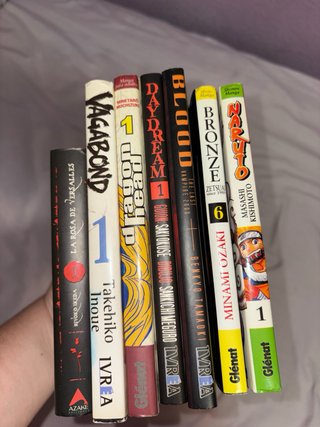 Lote manga