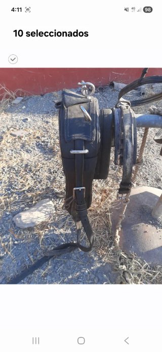 Arnes para caballo